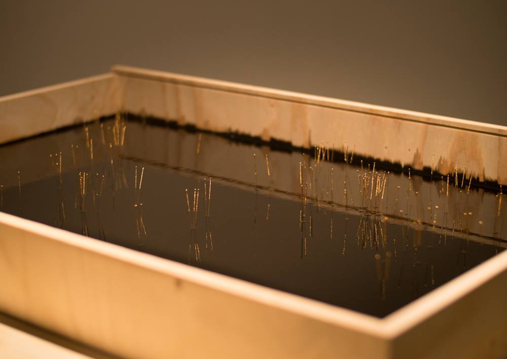 Mari Fraga, "Mapa submerso em petróleo", 2015 --- Wood, bitumen, gold acupuncture needles